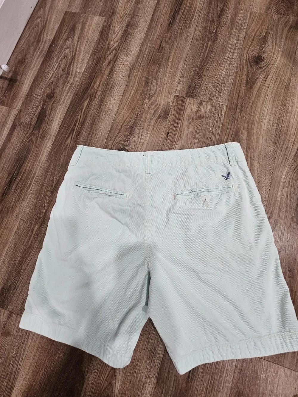 American Eagle Outfitters Mint Green Flat Front Men's Shorts